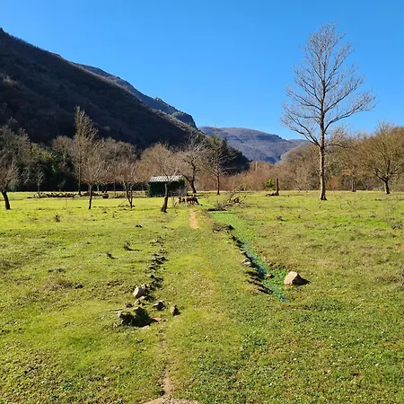 Les Sources / Chez Léa