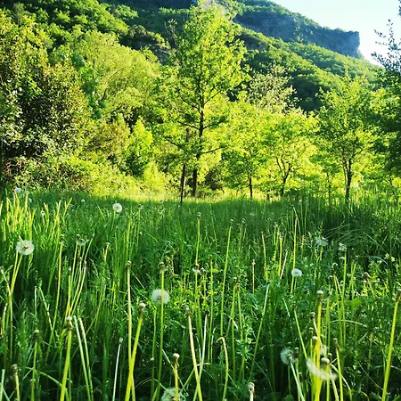 Les Sources / Chez Léa *