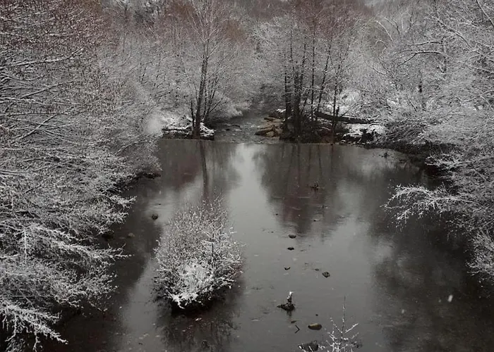 Les Sources / Chez Lea