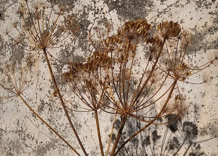 Les Sources / Chez Lea アパート Molières-Cavaillac