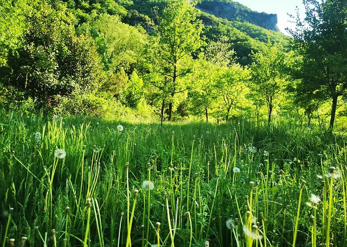 Les Sources / Chez Lea *